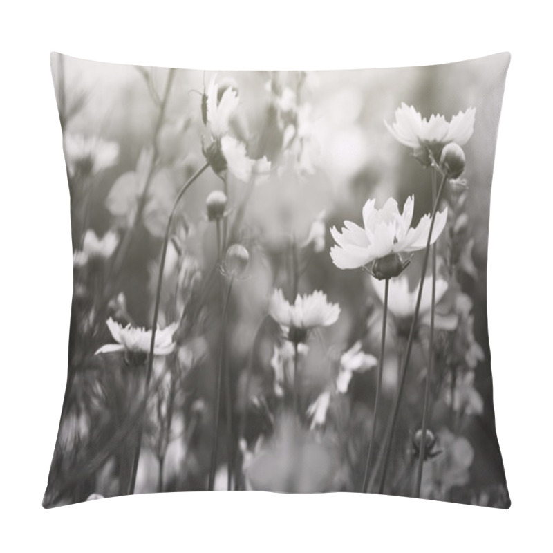 Personality  Black And White Photo, Flowers In A Field Pillow Covers