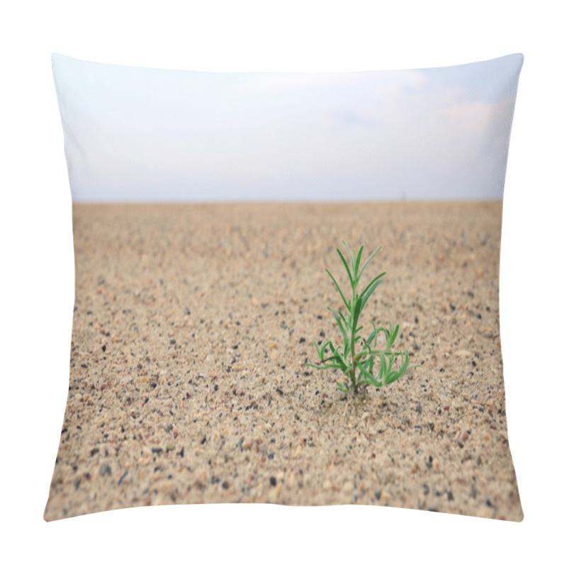 Personality  Birth Of A Plant In The Desert Pillow Covers