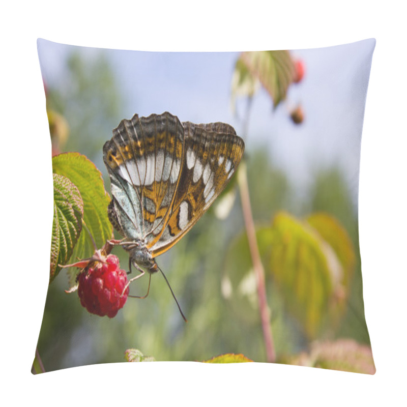 Personality  Butterfly Sitting On A Berry Pillow Covers