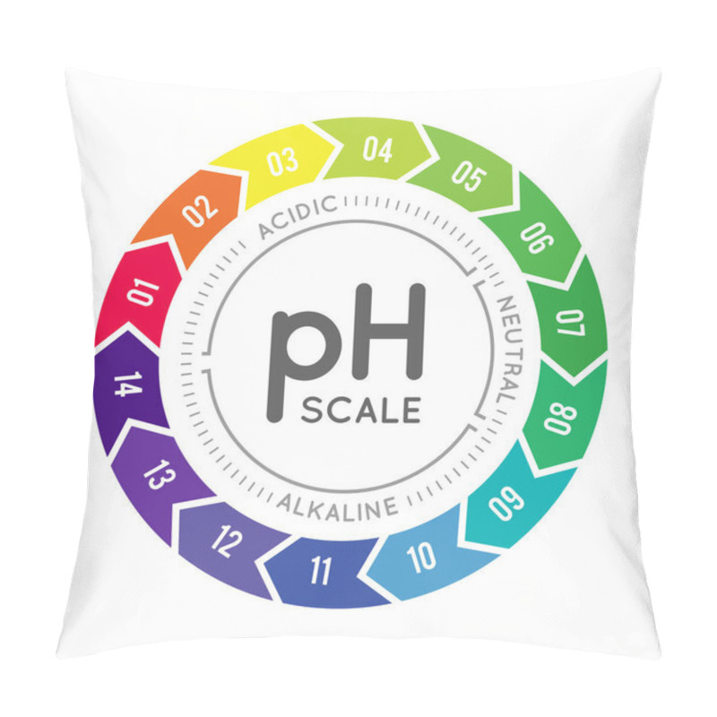 Personality  PH Meter For Measuring Acid Alkaline Balance. Infographics In The Circle Form With PH Scale On White Background Pillow Covers