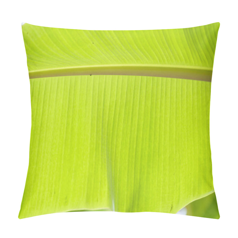 Personality  Green Banana Leaf Tropical Palm Foliage Texture Background. Pillow Covers