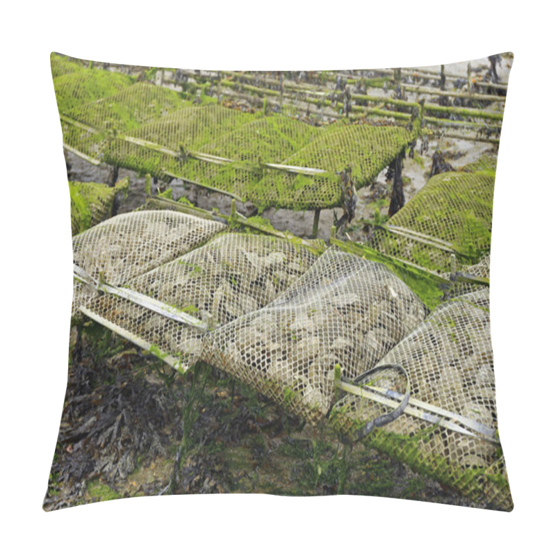 Personality  Oyster Farming Near Cancale In The Bay Of English Channel Pillow Covers