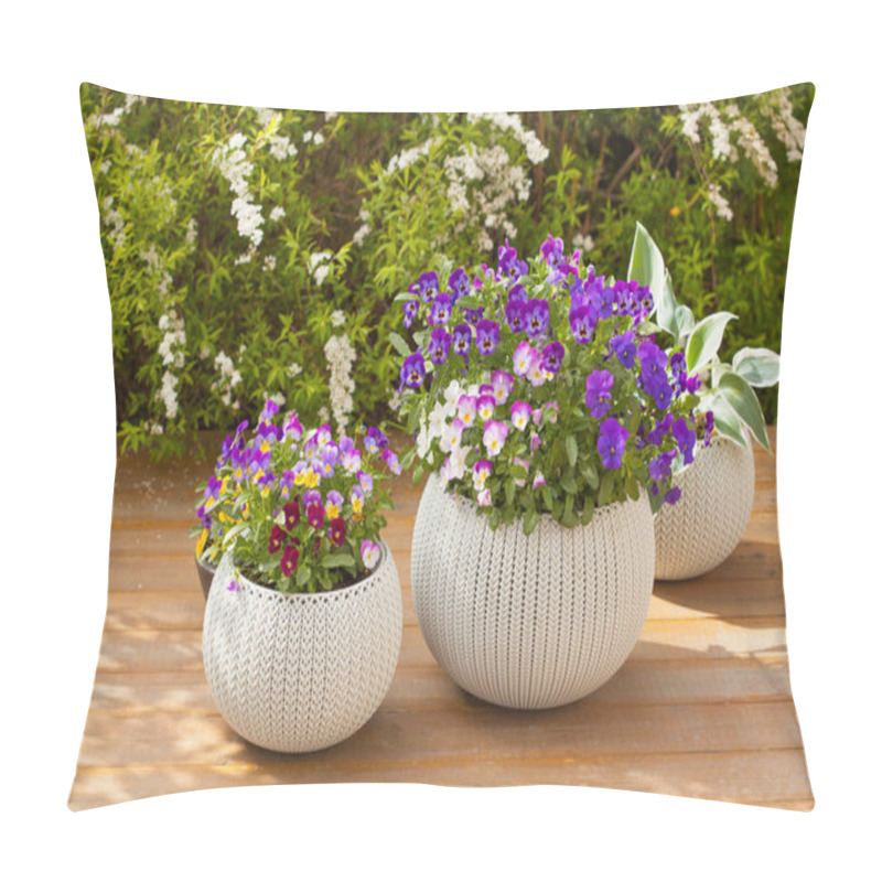 Personality  Beautiful Pansy Summer Flowers In Flowerpots In Garden Pillow Covers