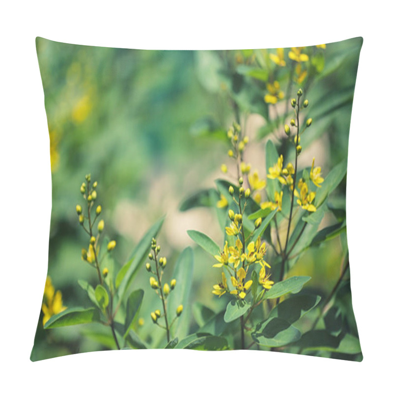 Personality  Yellow Sweet Clover Blooming. Pillow Covers