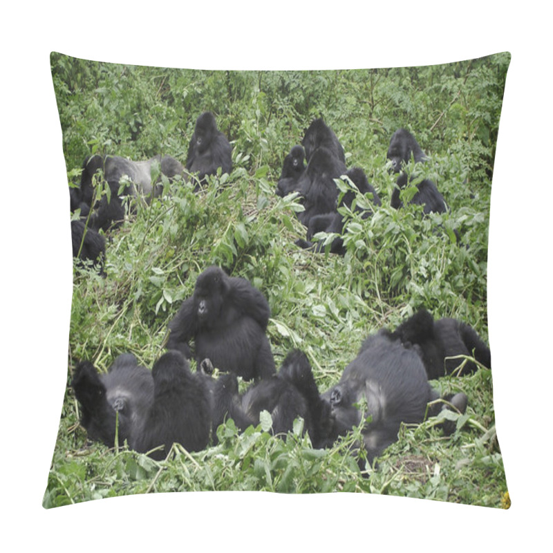 Personality  Group Of Mountain Gorillas Pillow Covers