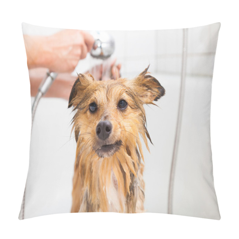 Personality  Shetland Sheepdog Under Shower Pillow Covers