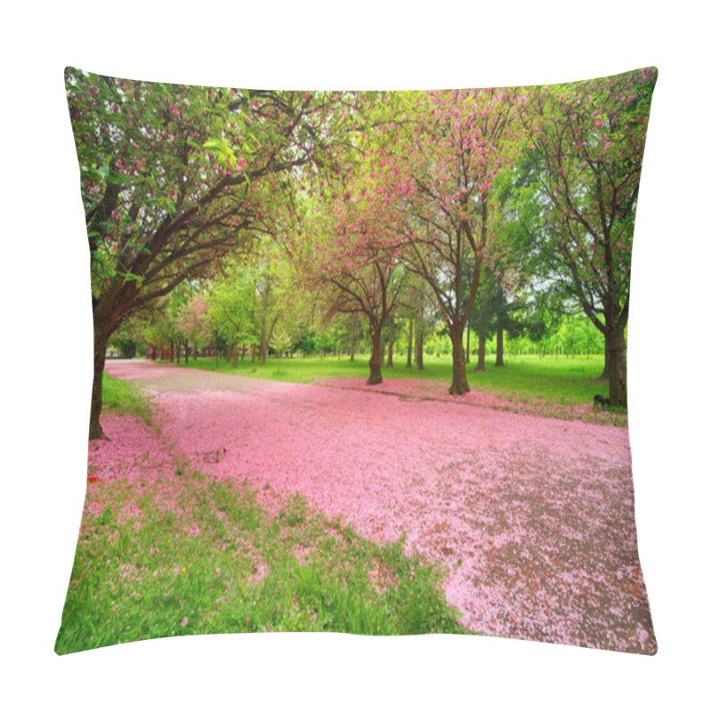 Personality  May Sakura In Transcarpathia, Ukraine, Near The City Of Mukachevo. Beautiful Delicate Pink Flowers At Dawn Are Very Popular With Tourists From All Over The World. Pillow Covers