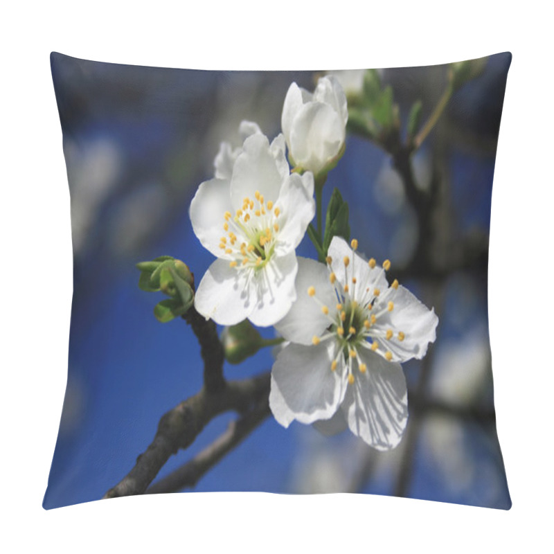 Personality  Beautiful Closeup Spring Blossoming Tree Pillow Covers