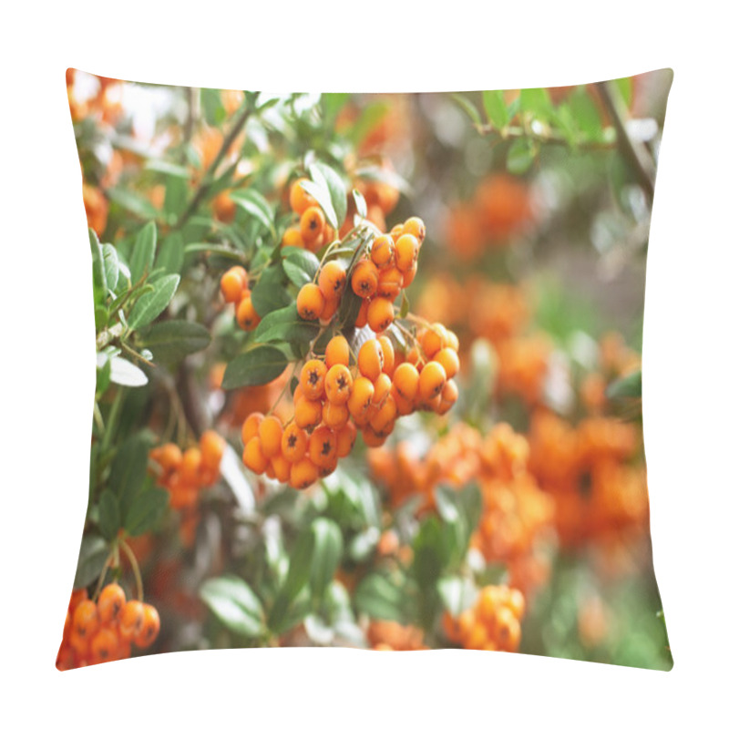 Personality  Rowan Berries On A Tree Pillow Covers