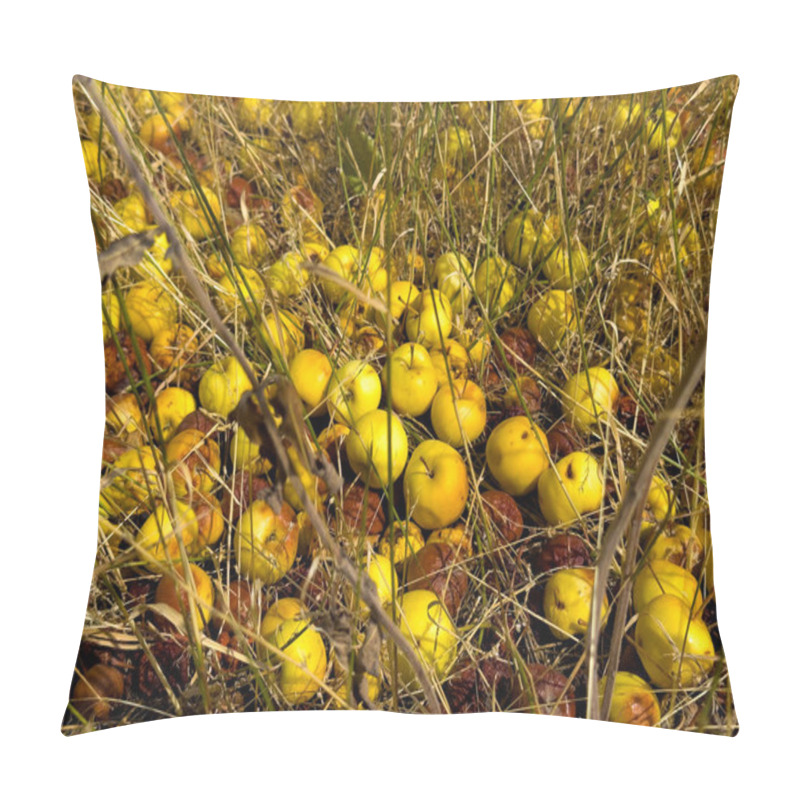 Personality  Unharvested Yellow Apples Lie On The Ground Among Dry Grass, Some Of Which Have Started To Rot. The Spoiled Crop Creates A Scene Of Missed Opportunities In The Autumn Harvest Pillow Covers