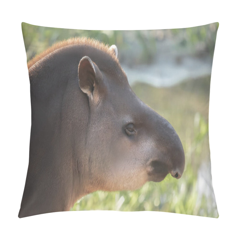 Personality  Lowland Tapir Face (Tapirus Terrestris) Pillow Covers