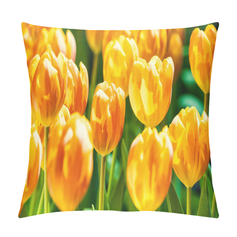 Personality  Yellow And Orange Tulips Blooming Brightly In A Lush Garden Surrounded By Green Leaves, Showcasing The Vibrant Beauty Of Spring. Pillow Covers