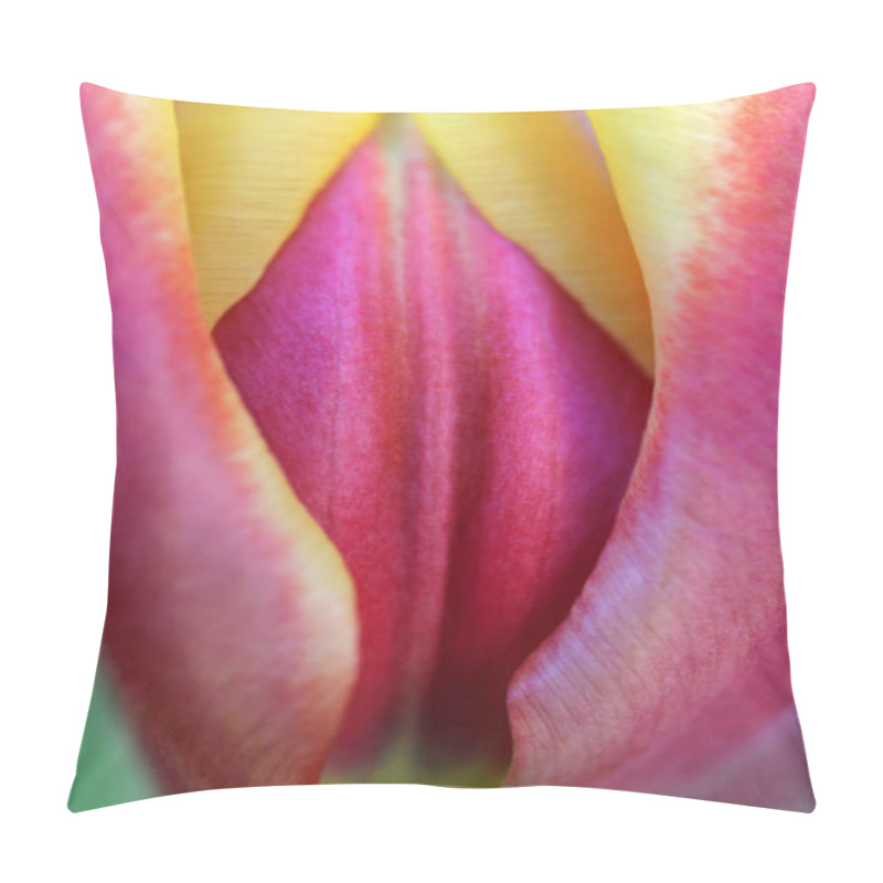 Personality  Blooming Tulip Flowers, Closeup Pillow Covers