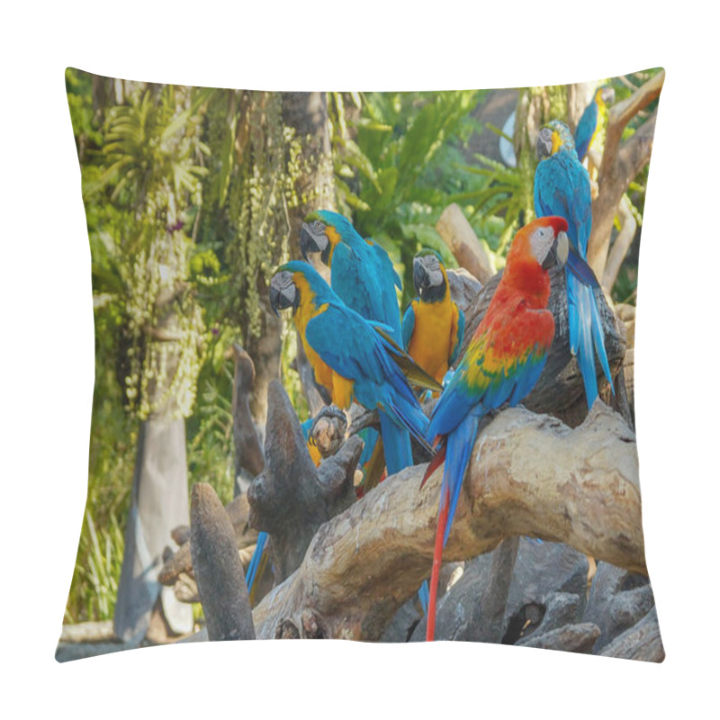 Personality  Macaw - Beautiful Tropical Parrots Pillow Covers