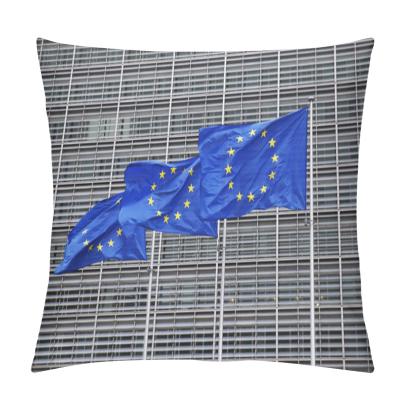 Personality  Prime Minister Of Ireland Leo Varadkar Visit EU Institutions Pillow Covers