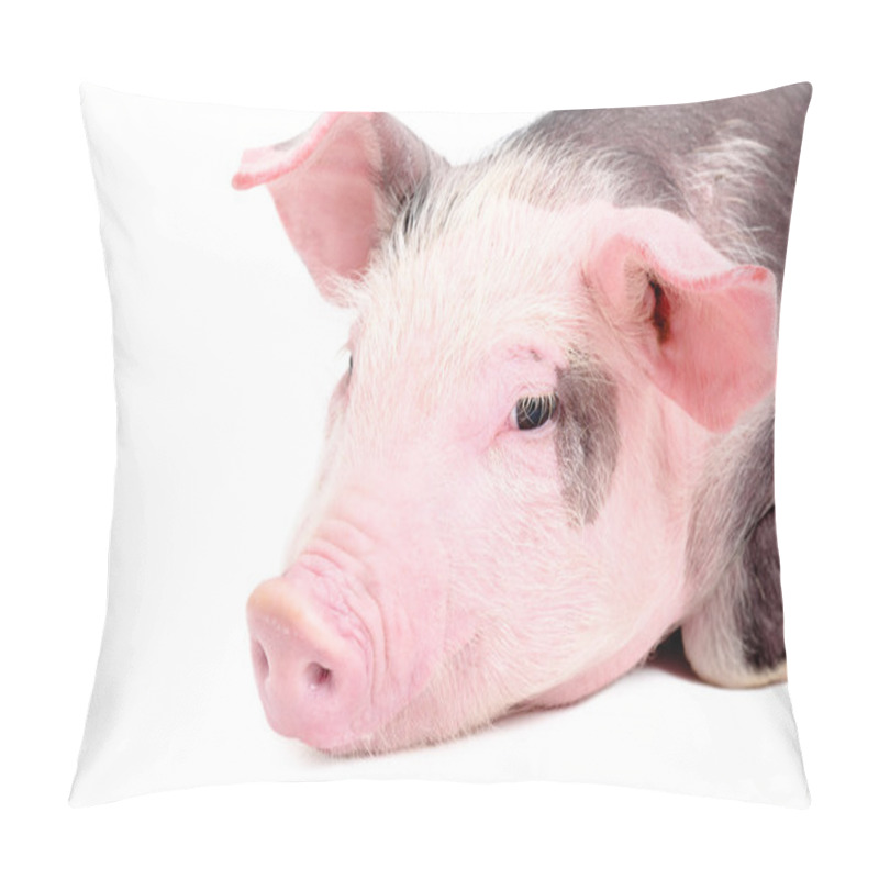 Personality  Portrait Of A Cute Piglet, Closeup Pillow Covers