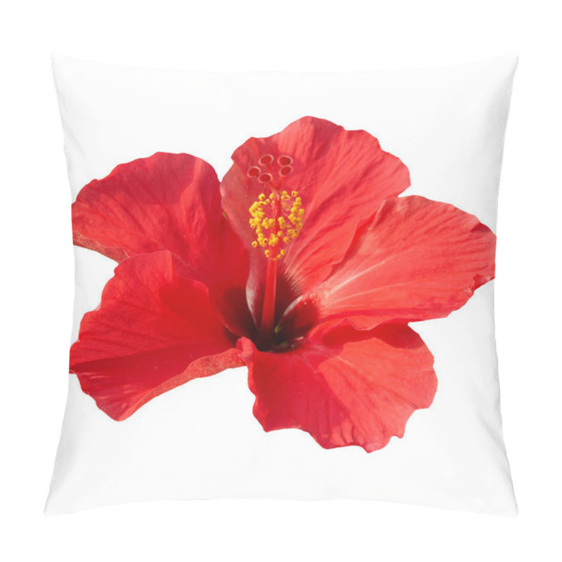 Personality  Hibiscus Rosa Sinensis Pillow Covers