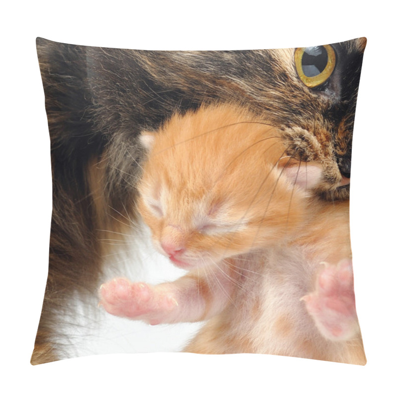 Personality  Mother Cat Carrying Newborn Kitten Pillow Covers