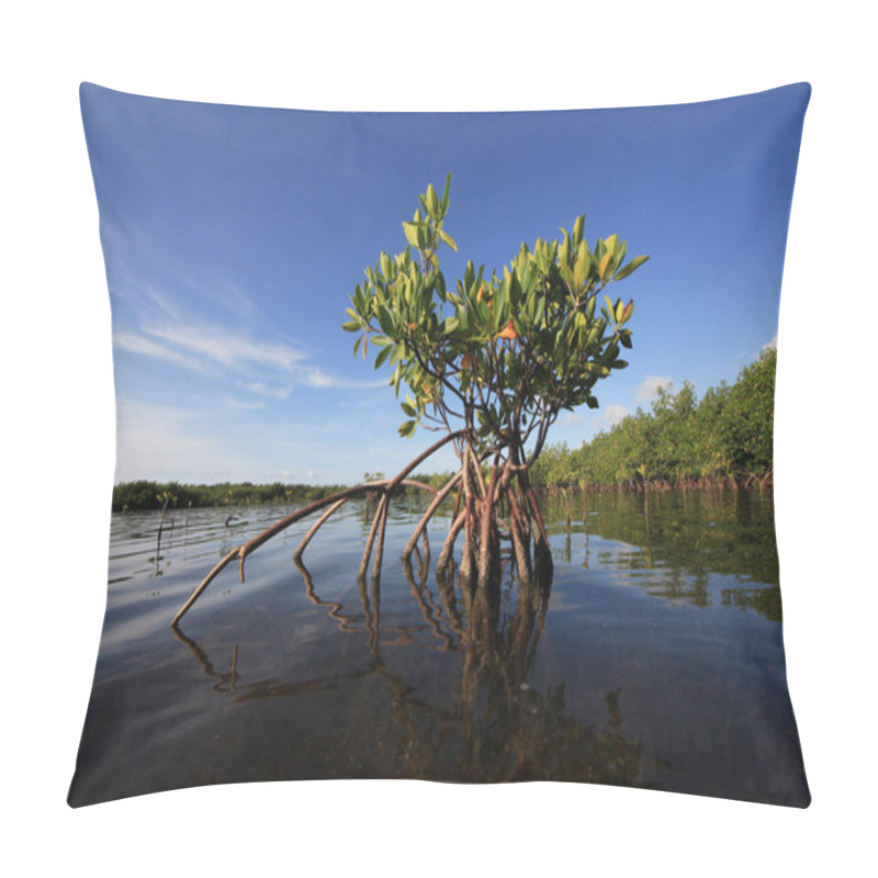 Personality  Young Mangrove Trees In Card Sound, Florida. Pillow Covers