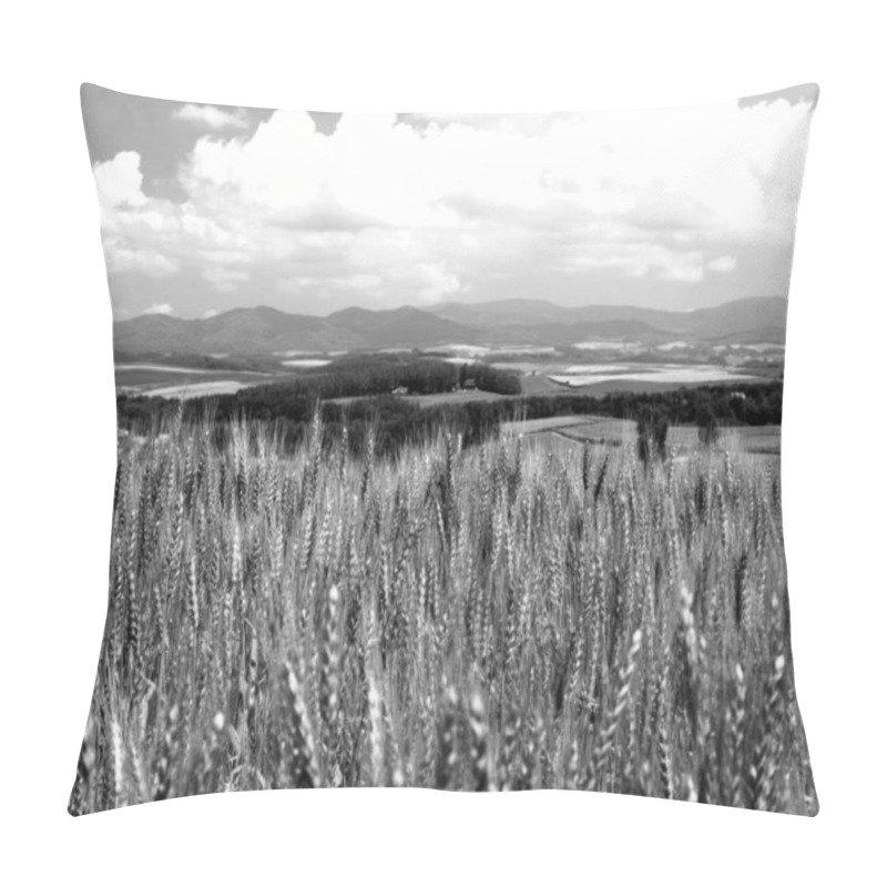 Personality  Bright Field HDR Natural Black And White Background Pillow Covers