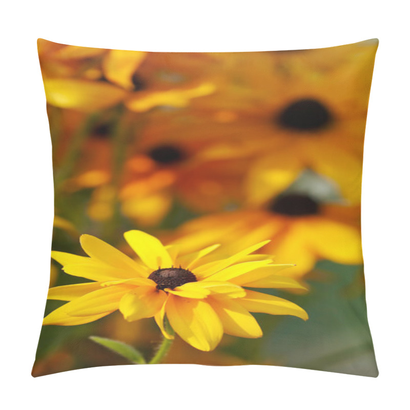 Personality  Yellow Rudbeckia In A Garden. Selective Pillow Covers