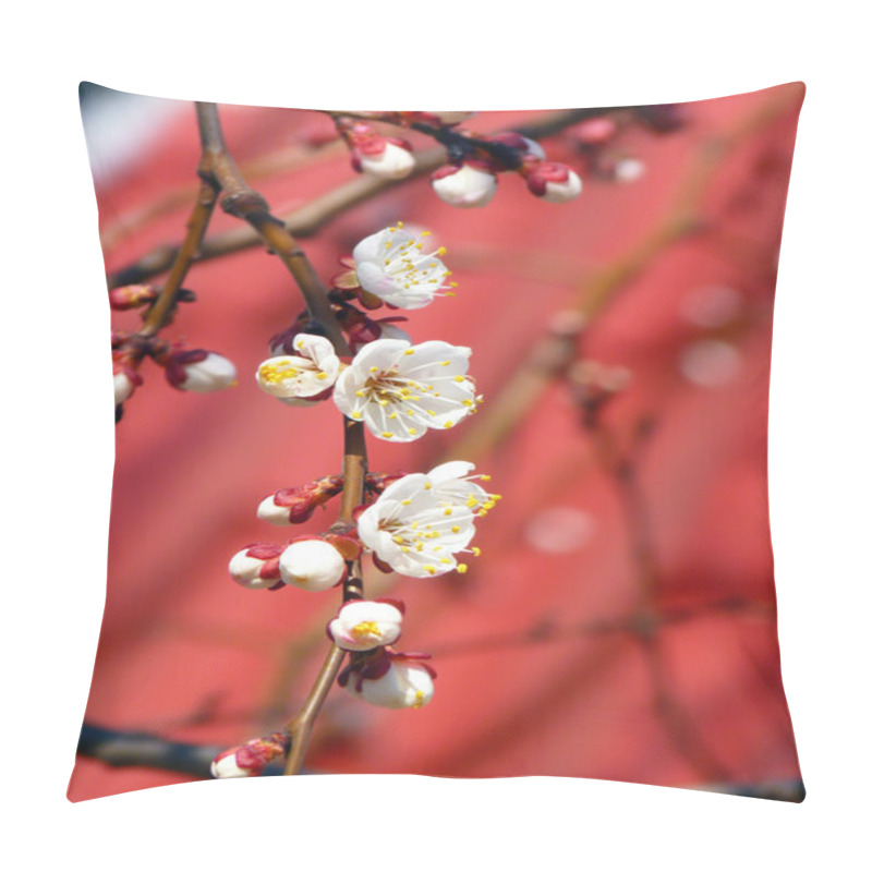 Personality  Spring Blossoming Branch On A Red Background Pillow Covers