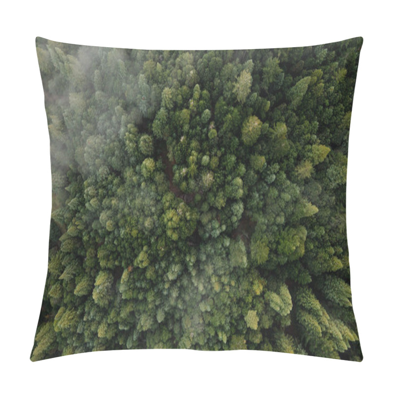 Personality  Aerial View Of Fog Over Dark Pine Forest Trees. Top Down Drone View.  Pillow Covers