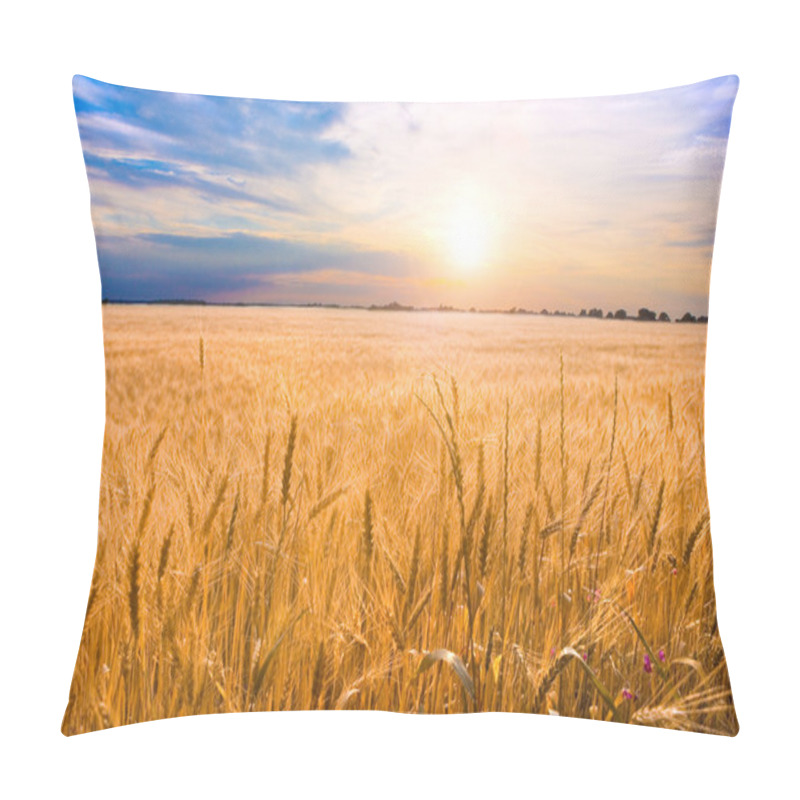 Personality  Golden Wheat Ready For Harvest Growing In A Farm Field Under Blu Pillow Covers