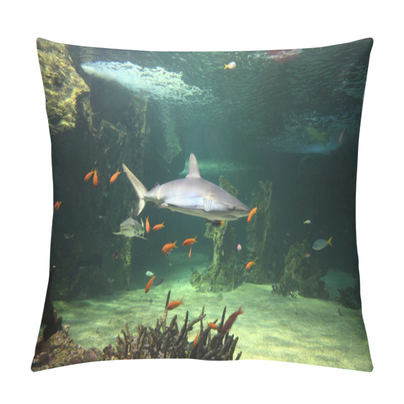 Personality  Grey Reef Sharks Pillow Covers