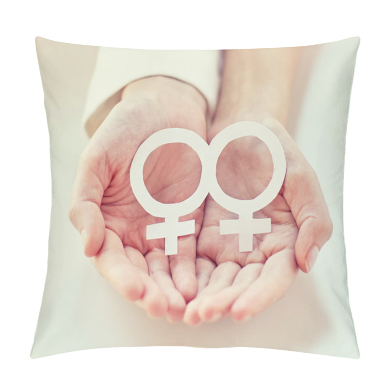 Personality  Close Up Of Happy Lesbian Couple With Venus Symbol Pillow Covers