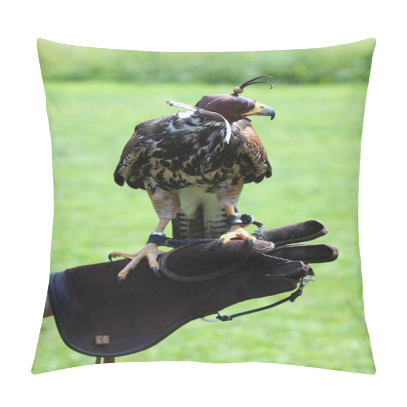 Personality  Harris Hawk, Lat. Parabuteo Unicintus, A Child Is Holding It Pillow Covers