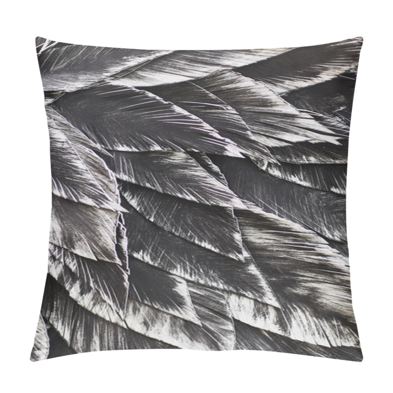 Personality  Close Up. Decorative Black Bird Pillow Covers