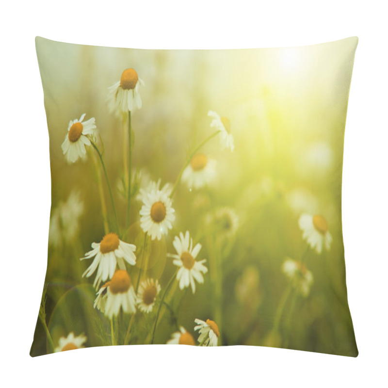 Personality  Spring Flowers Pillow Covers