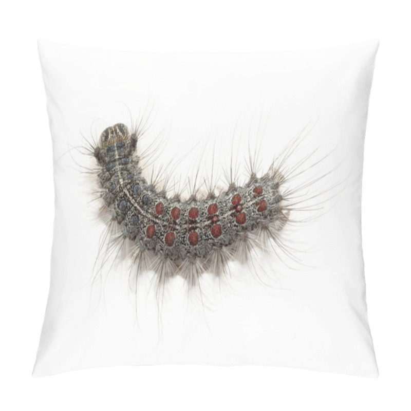 Personality  Gypsy Moth Caterpillar Pillow Covers