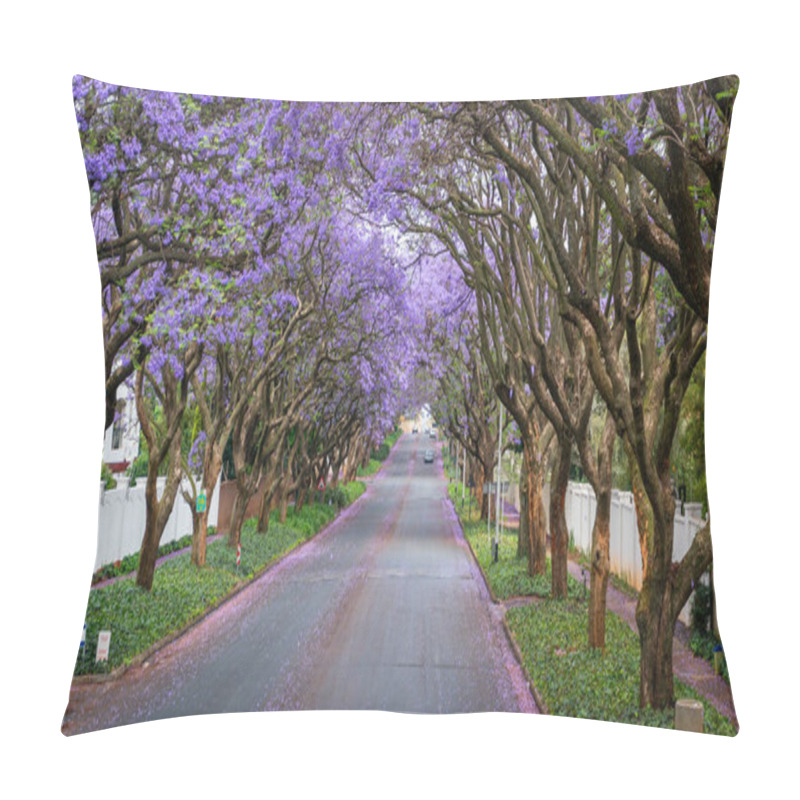 Personality  Tall Jacaranda Trees Lining The Street Of A Johannesburg Suburb In The Afternoon Sunlight, South Africa Pillow Covers