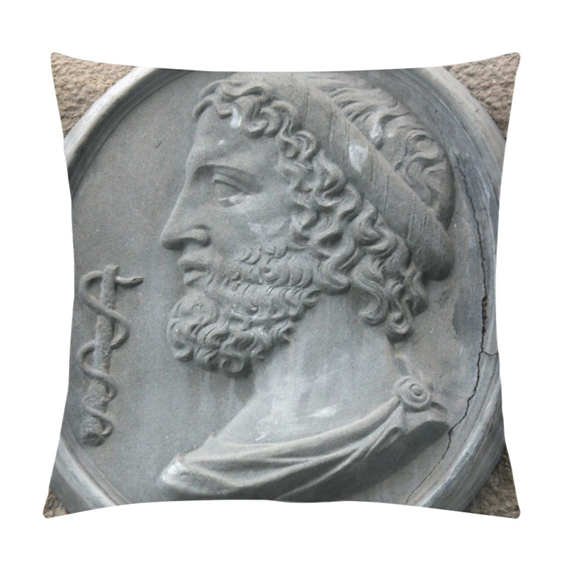 Personality  Greek God Asclepius Pillow Covers