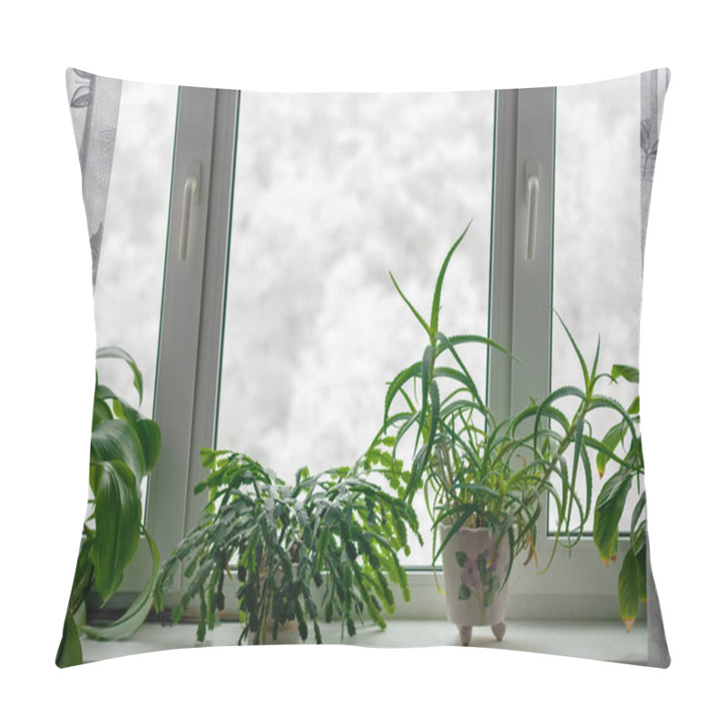 Personality  Houseplants Growing On Windowsill In Winter Season Against Trees In Snow Behind The Window Pillow Covers