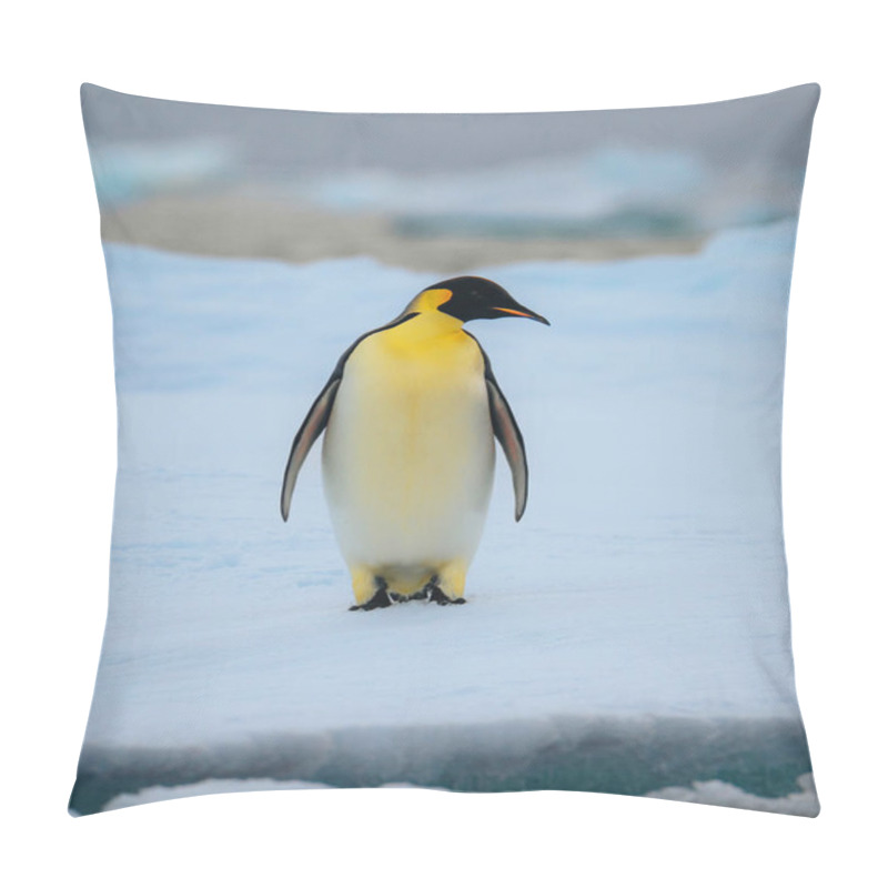 Personality  Emperor Penguin In Natarctica Standing And Walk On Snow. Photo Pillow Covers