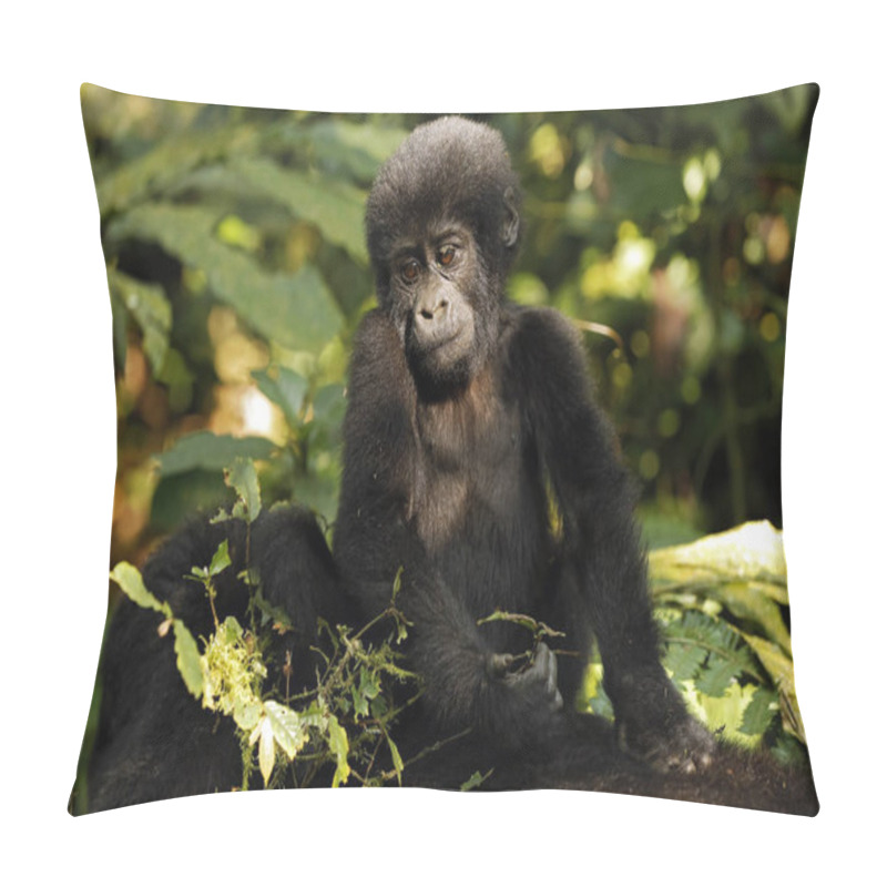 Personality  Baby Gorilla (Gorilla Beringei Beringei) Riding Mothers Back. Bwindi Impenetrable National Park, Uganda Pillow Covers