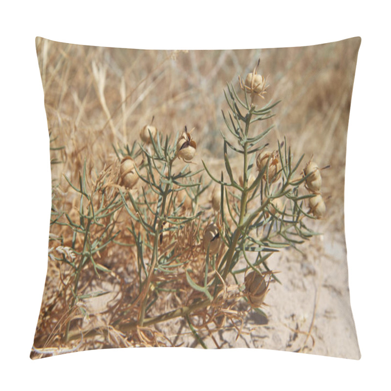 Personality  Plants Of Tajikistan: Peganum Harmala Pillow Covers