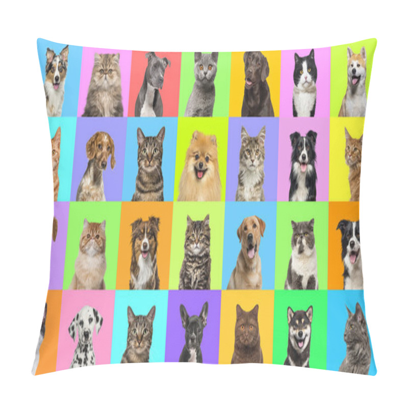 Personality  Collage Of Multiple Headshot Photos Of Dogs And Cats On A Multicolored Background Of A Multitude Of Different Bright Colors. Pillow Covers