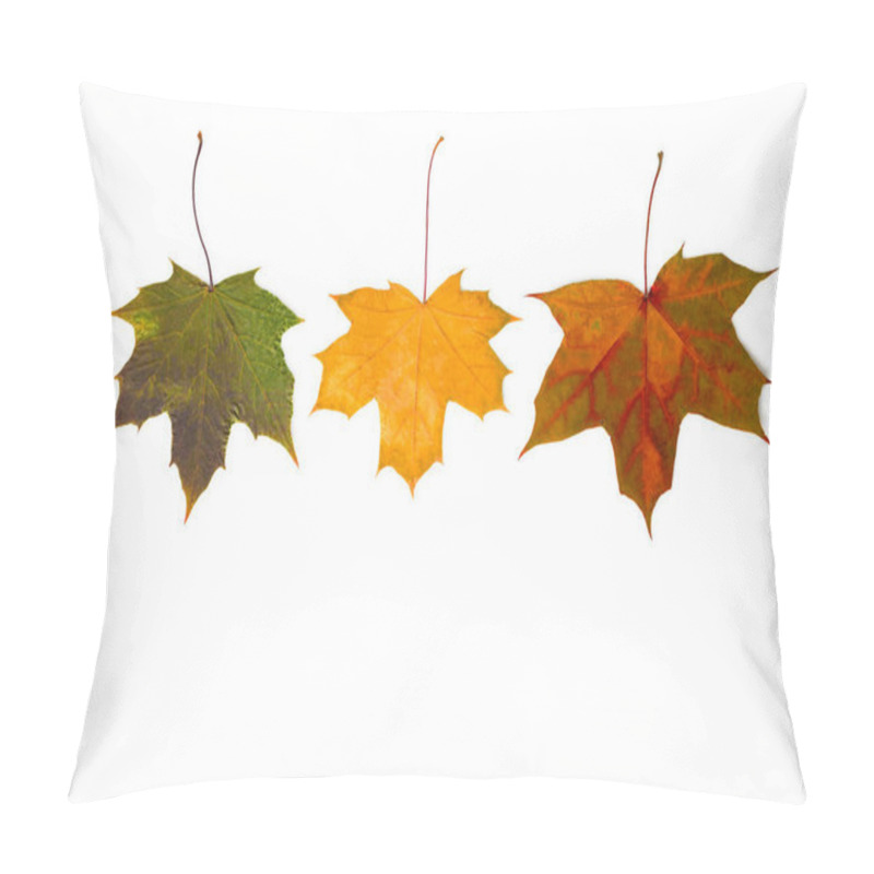 Personality  Maple Autumn Leaves. Thanksgiving Background Pillow Covers