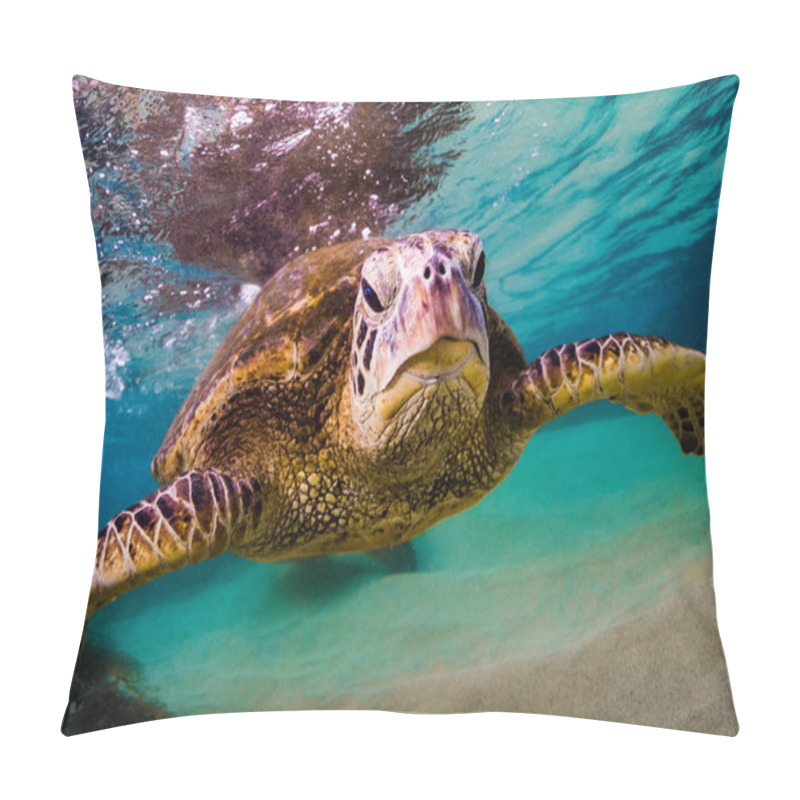 Personality  Hawaiian Green Sea Turtle Cruising In The Warm Waters Of The Pacific Ocean In Hawaii Pillow Covers