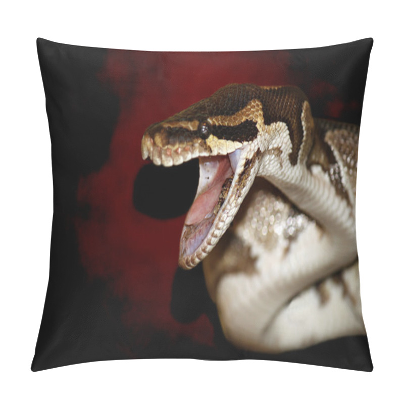 Personality  Snake Pillow Covers