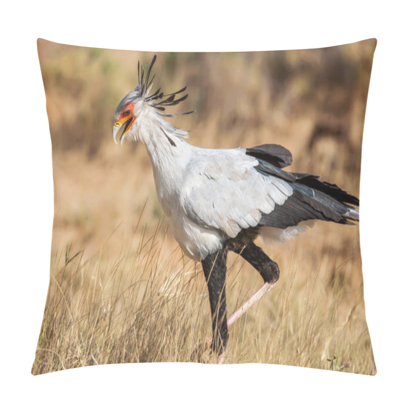 Personality  Secretary Bird Sagittarius Serpentarius Close Up, Africa Pillow Covers