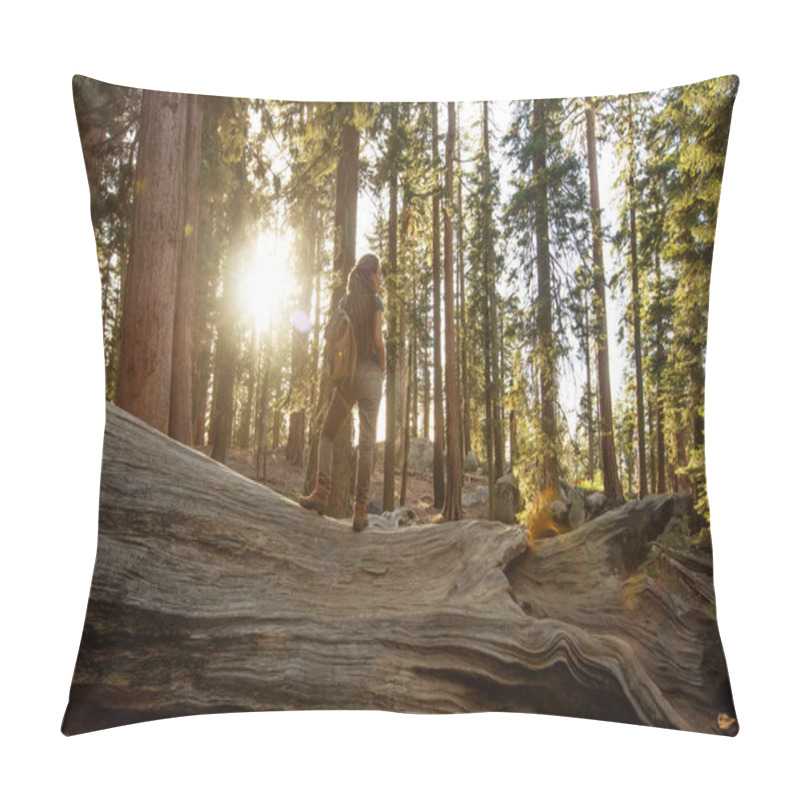 Personality  Hiker In Sequoia National Park In California, USA Pillow Covers