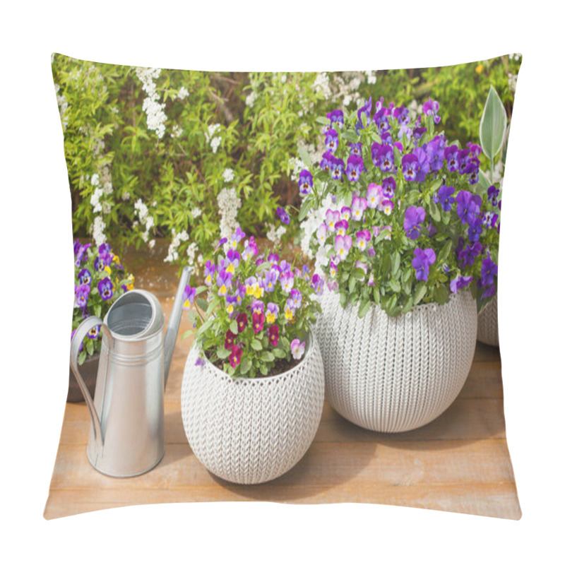 Personality  Beautiful Pansy Summer Flowers In Flowerpots In Garden Pillow Covers