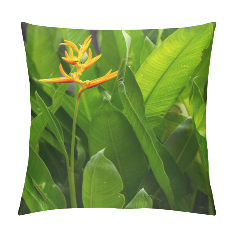 Personality  Bird Of Paradise Flower Pillow Covers