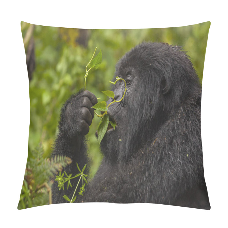 Personality  Female Gorilla Portrait Pillow Covers