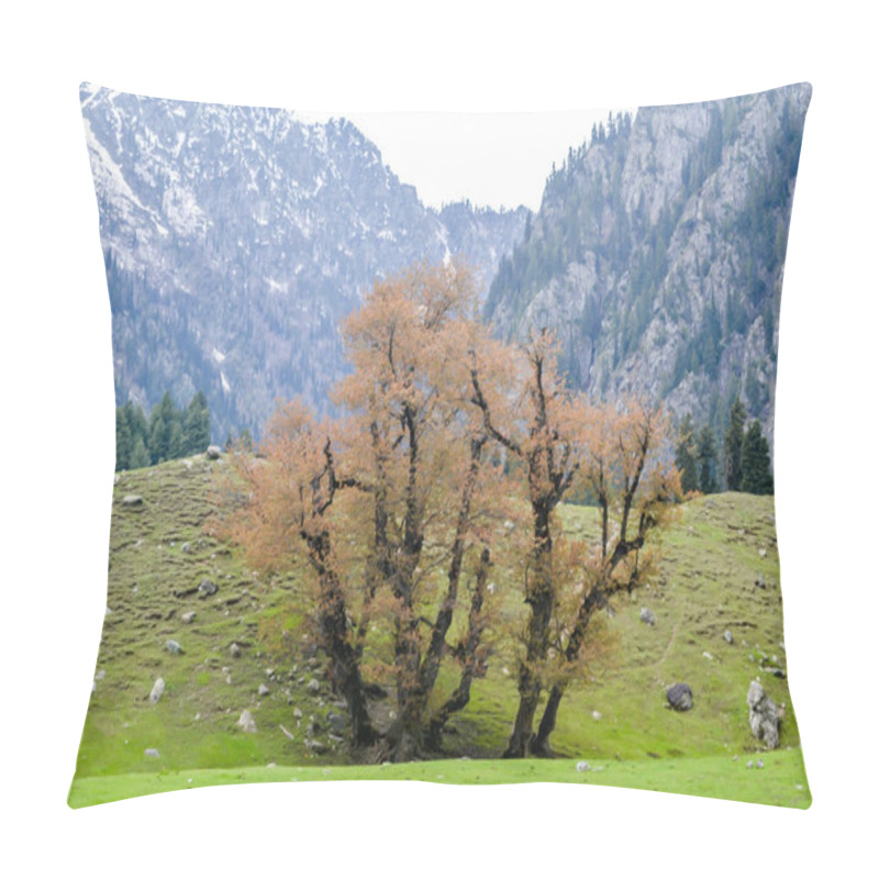 Personality  Stunning Photograph Of Kashmir Also Called 'Paradise On Earth', Pillow Covers